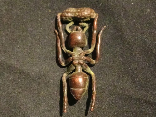 Wunderschöne kleinbronze - wunderschöne,