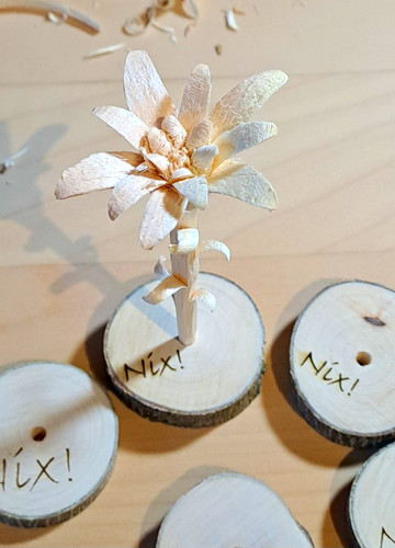 Edelweiss mit holzscheibe - edelweiss,